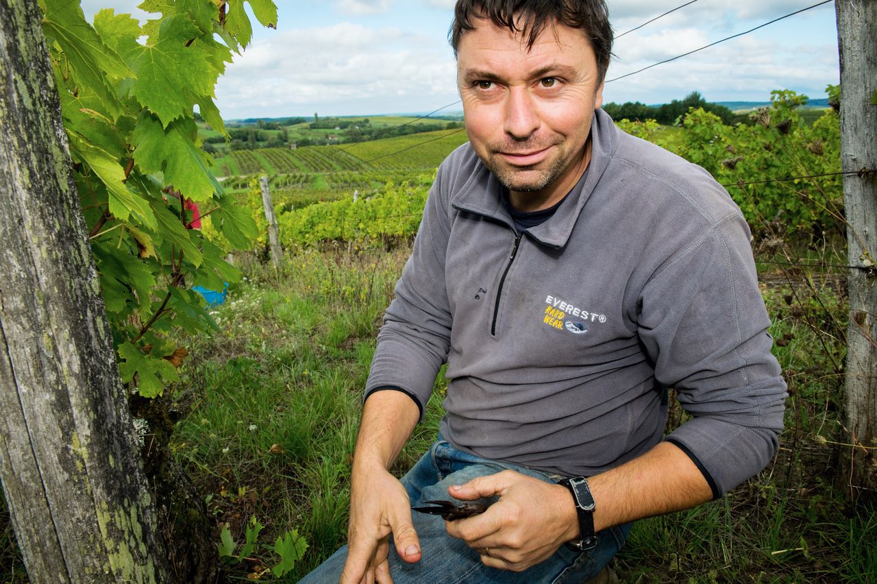 Vins Vigneron Anne & Emmanuel Houillon 8774